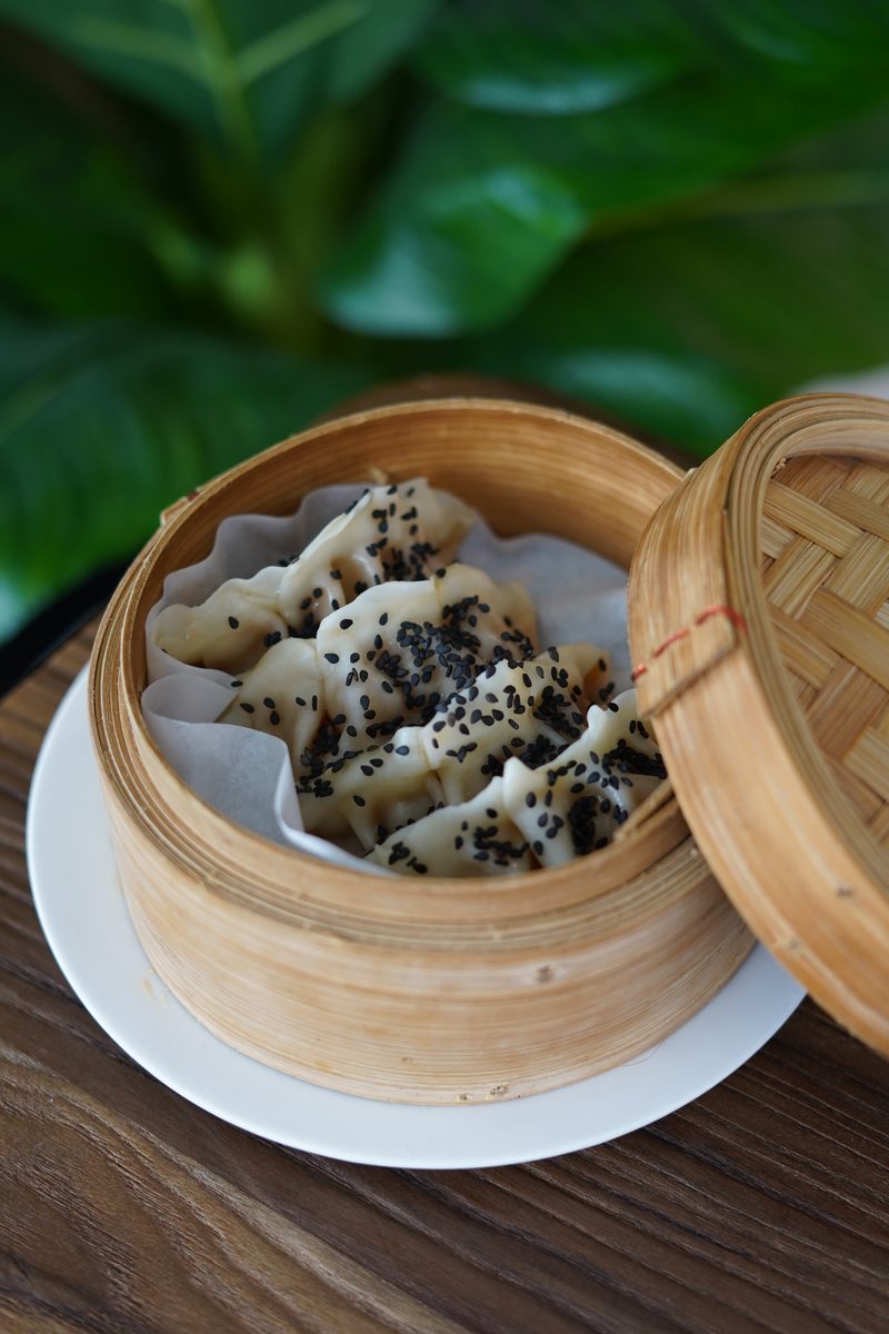 Gyozas de pato